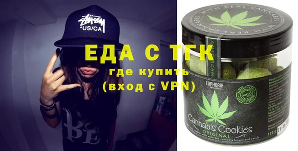 гашик Корсаков