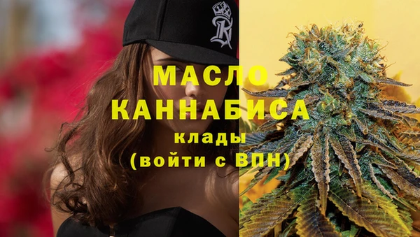 гашик Корсаков