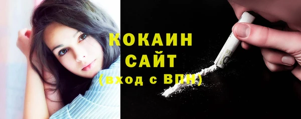 гашик Корсаков