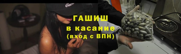 гашик Корсаков