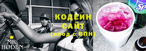 гашик Корсаков