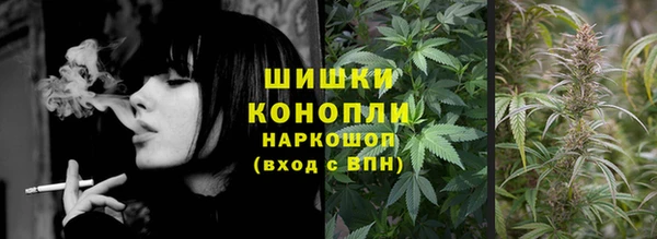 гашик Корсаков