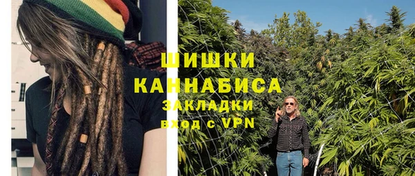 гашик Корсаков
