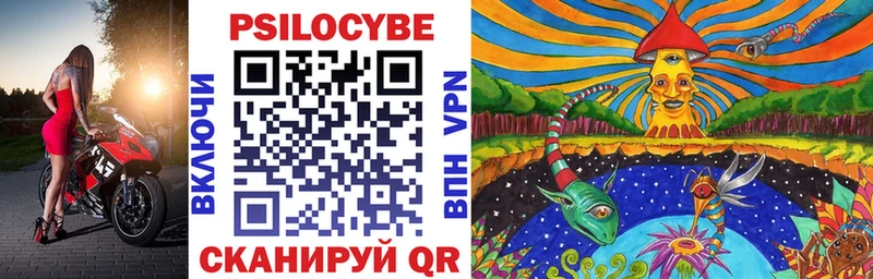 Псилоцибиновые грибы Cubensis  Новошахтинск 